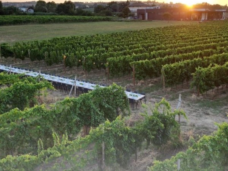 <b>Enio Ottaviani</b>: dove il <b>vino</b> racconta la <b>Romagna</b> con eleganza