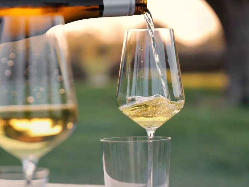 Tour in cantina & Degustazione: viaggio tra i vini di Enio Ottaviani